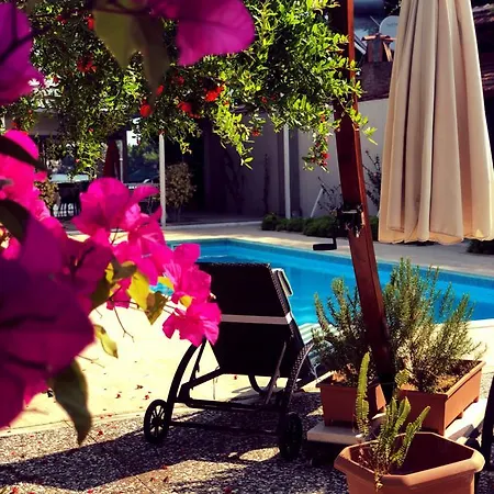 Arp Hotel Dalyan